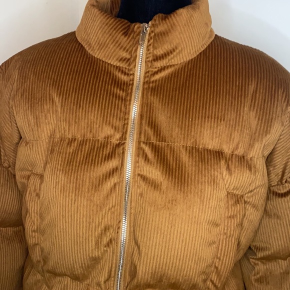 Jacket - Picture 6 of 11